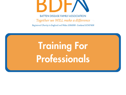TRAINING FOR PROFESSIONALS SESSIONS, Oct 2023